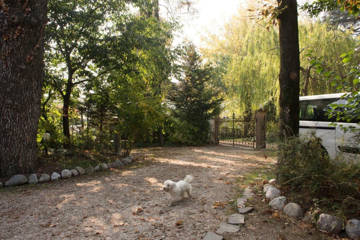 לינה וארוחת בוקר Curtatone Al Parco מראה חיצוני תמונה